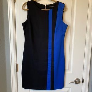 Ellen Tracy business dress